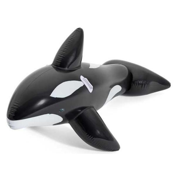 Jumbo Whale Rider 80