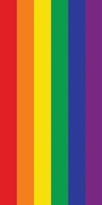 Pride Flag Towels 743790