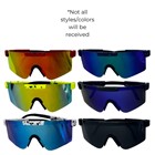 Polarized Shield Sunglasses 753640 View 2