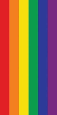 Pride Flag Towels